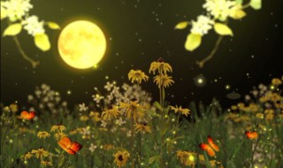 什么叫花前月下解释一下 花前月下什么意思