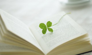 祂怎么读 祂的读音