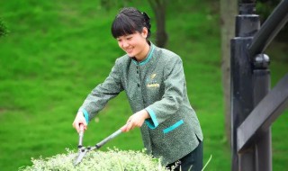 园丁的精神品质是什么 园丁的精神品质有哪些