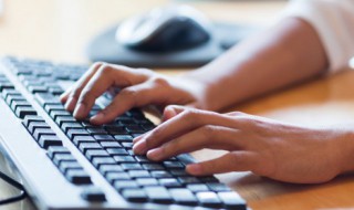 鸟木念什么 鸟木组词什么字