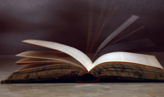 轻飞曼舞的漫是什么意思 轻飞曼舞的含义