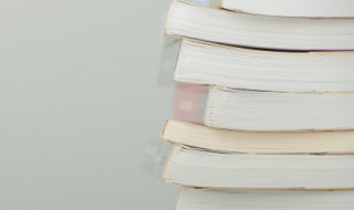 拾遗补缺是什么意思 拾遗补缺的含义