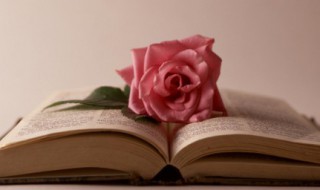 清晰可辨的辨是什么意思 清晰可辨的含义