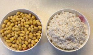 大米豆类储存方法 大米和豆类储存方法是什么