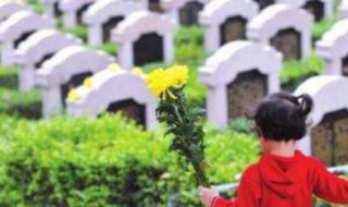 犯红沙是什么意思 犯红沙简单介绍