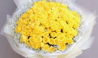 生日买花买什么花 生日买花买什么花好呢