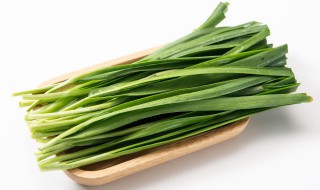 刚出苗的韭菜太细怎样管理 刚出苗的韭菜太细应该怎样管理