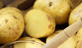 土豆为什么要把花掐掉 土豆为什么要把花掐掉呢