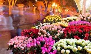 自制花草标本 自制花草标本步骤