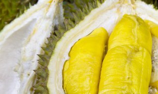 怎么辨别榴莲泡过药水 如何辨别榴莲泡过药水