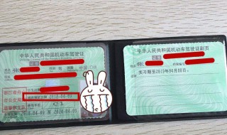 准驾车型档案编号 怎么查询呢