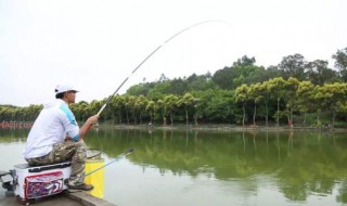 十米鱼竿用多大漂 新手选漂技巧