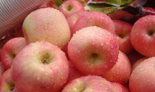 苹果怎么保存时间长点 三大方法能延长苹果的保鲜期