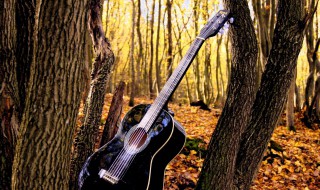 带吉他怎么坐飞机 有哪些注意事项