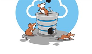 属鼠2020年运势及运程 属鼠2020年本命年犯太岁