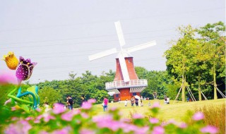 深圳最适合现在游玩的免费景点 一个一个去打卡吧