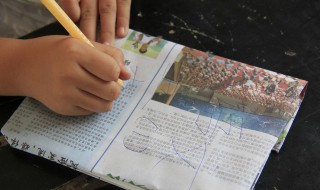 在深圳上公办小学需要什么条件 需要具备以下条件