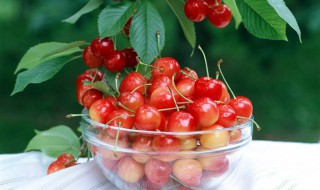 吃樱桃有什么好处 增强体质健脑益智
