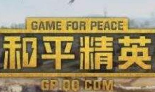 和平精英里面的金币有什么用 这里有具体的说明