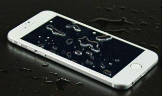 手机进水屏幕失灵 手机进水如何急救