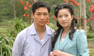 木棉花的春天叶耀华大结局 电视剧木棉花的春天讲的是什么