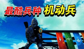 和平精英训练营有特种作战吗 来看看