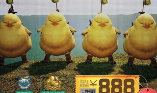 迷你世界果实升到几级会送陆行鸟 来看看