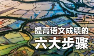 孩子小学二年级语文成绩不好怎么办 二年级这样提高语文成绩