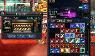 宠物装备自选礼盒怎么选 来瞧瞧