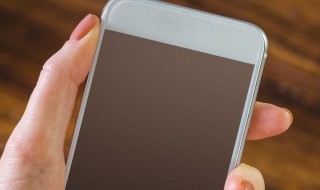 手机在路上掉在水里怎么处理 有解决的具体方法吗