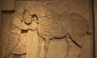 昭陵六骏浮雕中具有情节性的作品是什么? 昭陵六骏浮雕中具有情节性的作品的介绍