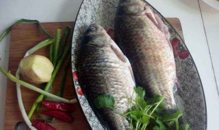 草鱼有鱼腥线吗 去除鱼腥线的方法