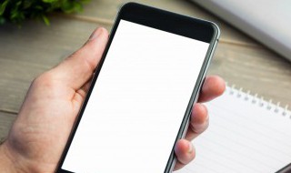 手机开机有声音不显屏幕如何处理 这几个方法还是可以尝试的