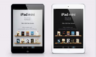 苹果平板电脑可以插优盘吗 优盘规格有什么要求吗