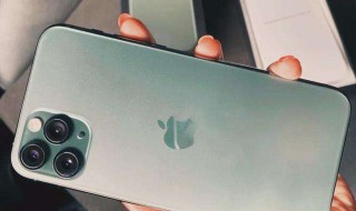 iphone11pro怎么看是不是国行 具体查看教程