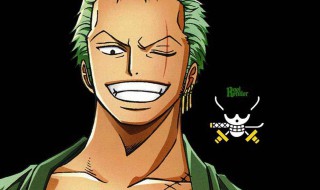 航海王索隆加点 航海王索隆怎么加点?