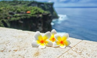 每日励言一句话 每日励言一句话精选