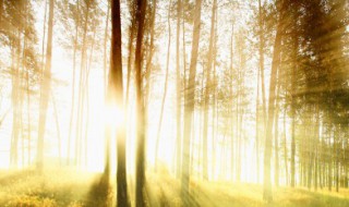 告别的话伤感 伤感的告别语录