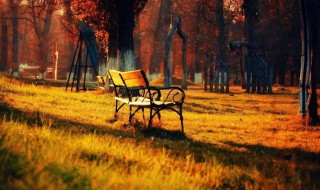 仙气满满的森系文案 仙气满满的朋友圈文案