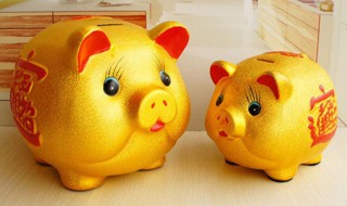 发财猪的正确摆放方法 招财猪摆放位置