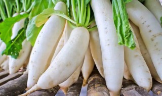 白萝卜和山药能一起吃吗 白萝卜和山药一起吃的好处