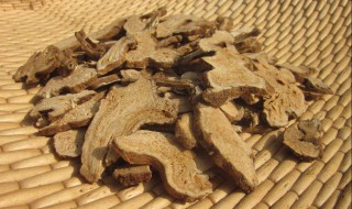 白术的功效与作用及禁忌 白术的功效与作用及禁忌是什么呢