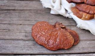 灵芝的作用与功效有哪些 灵芝的作用与功效简述