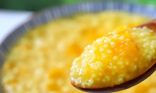 南瓜小米糊营养价值 关于南瓜小米糊营养价值是什么