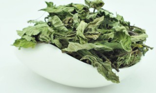 干薄荷叶的功效与作用 干薄荷叶有什么功效