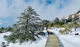 艳阳天里大雪纷飞是真的吗 艳阳天里会不会大雪纷飞