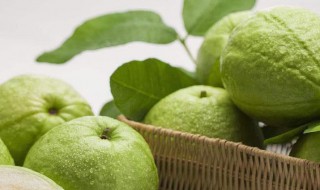 番桃叶的功效与作用 番桃叶的功效与作用介绍