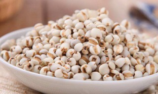 薏米的功效与作用及禁忌 薏米的功效与作用及禁忌是什么