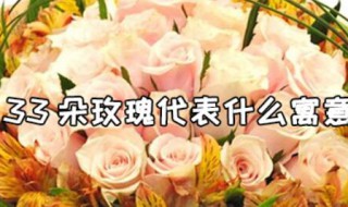 三十三朵玫瑰花语是代表什么 33朵玫瑰代表什么寓意