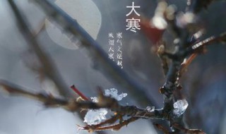 大寒节气的问候语 大寒节气关心问候语